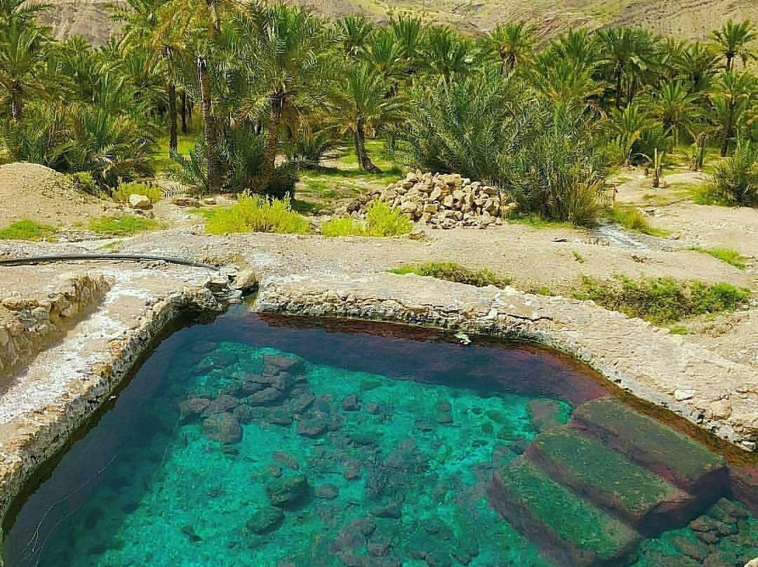 BandarAbbas Bird Garden景点图片