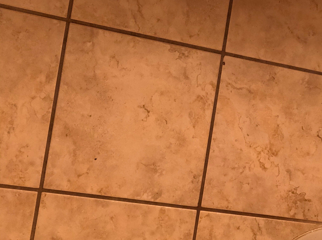 Dancing Rabbit Inn主图