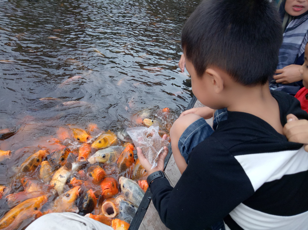 Kamojang Green Hotel & Resort主图