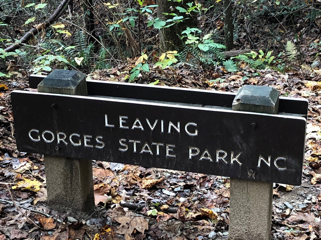 Gorges State Park景点图片