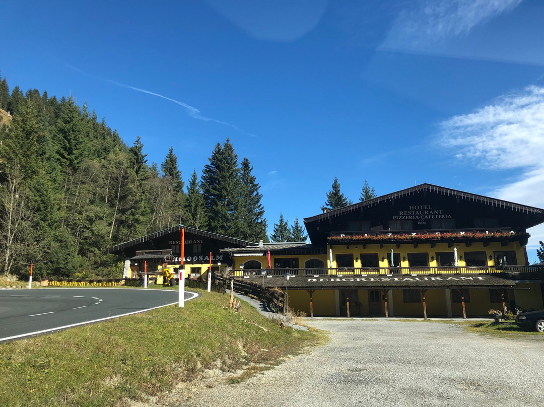 Almhotel Schoenmoossalm主图