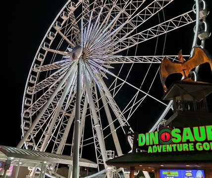 See Sight Tours-尼亚加拉大瀑布必去景点