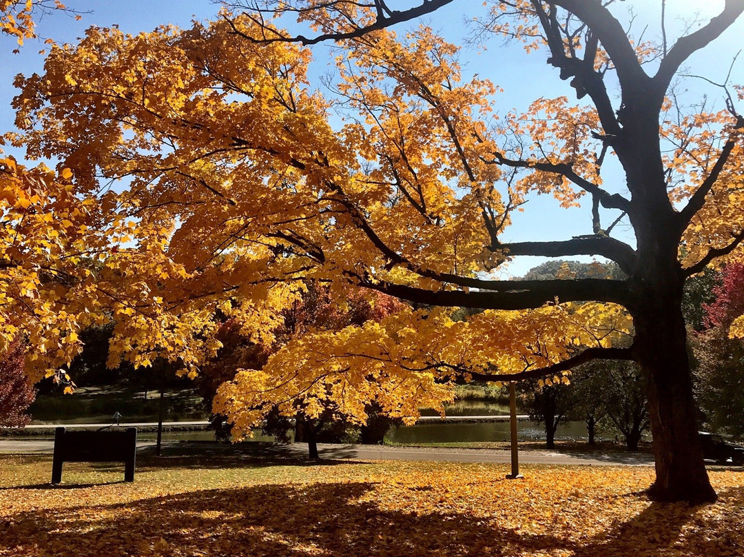 Washington Park-斯普林菲尔德必去景点