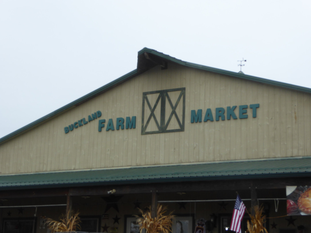 Buckland Farm Market-New Baltimore必去景点