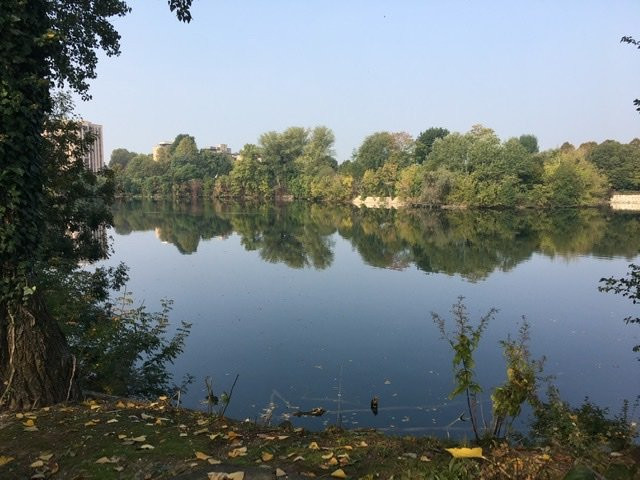 Parco Laghetto景点图片