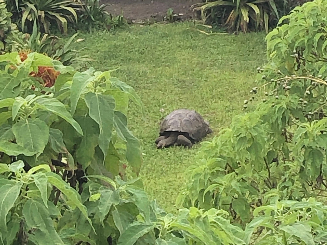 瑟米拉维尔德精品酒店主图