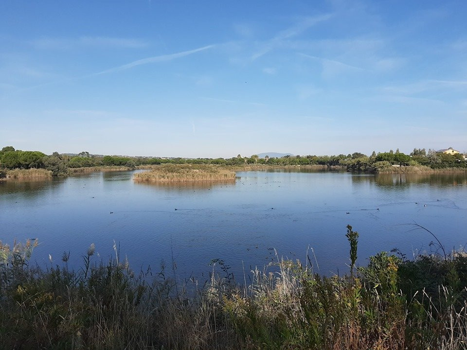 Oasi Parco dei Laghetti景点图片