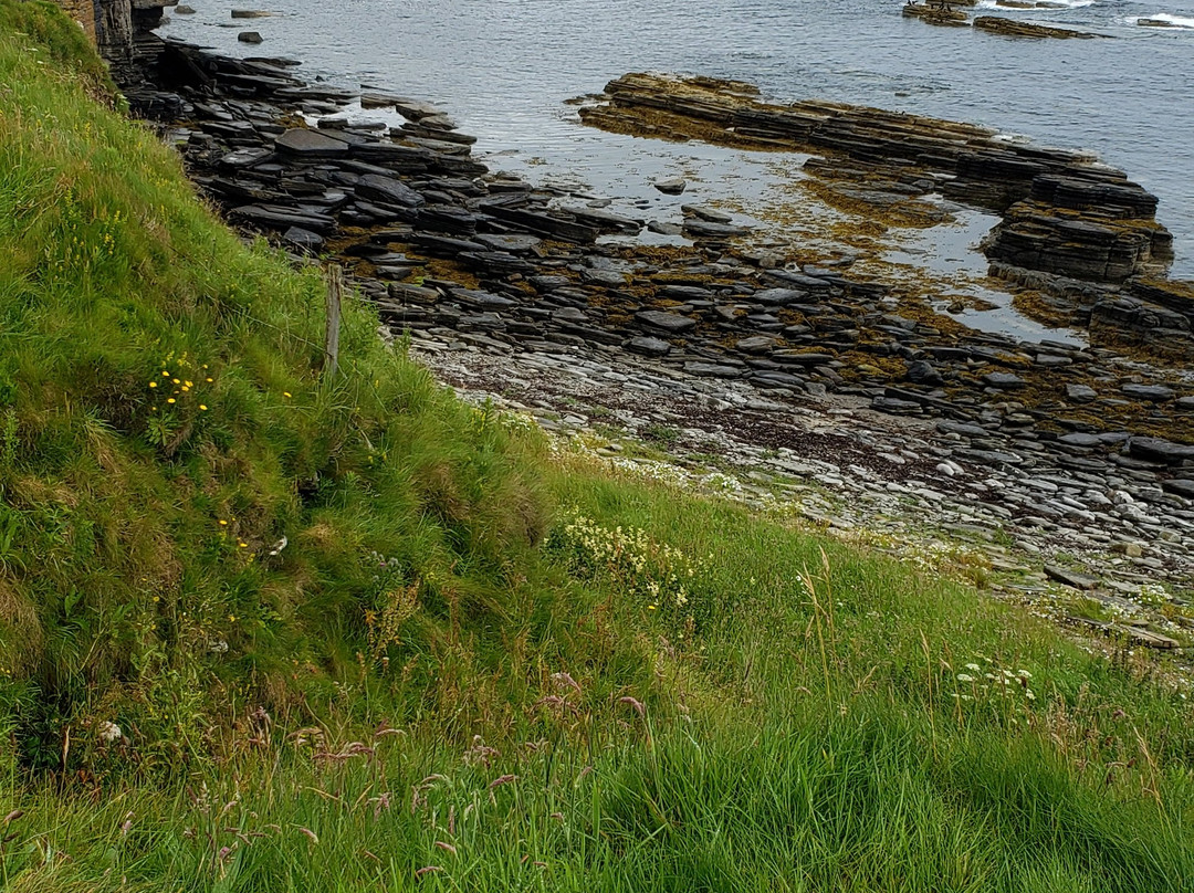 Caithness Broch Centre景点图片
