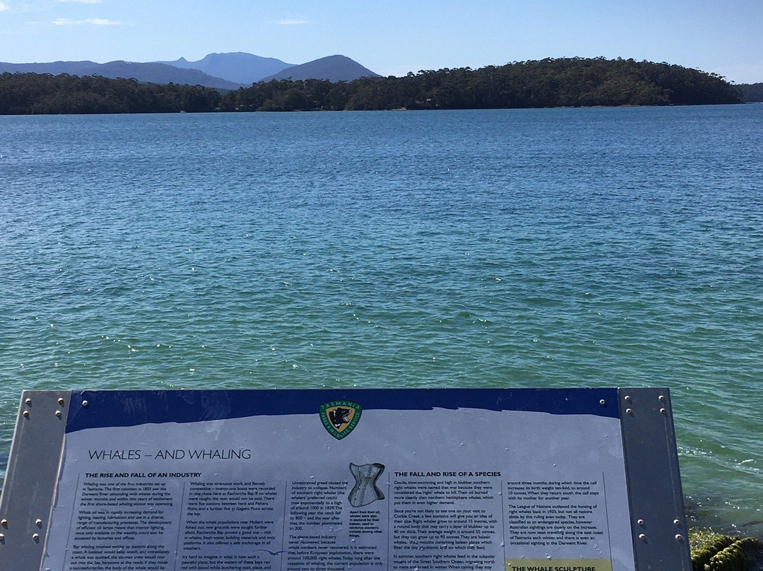 Cockle Creek-Southport必去景点