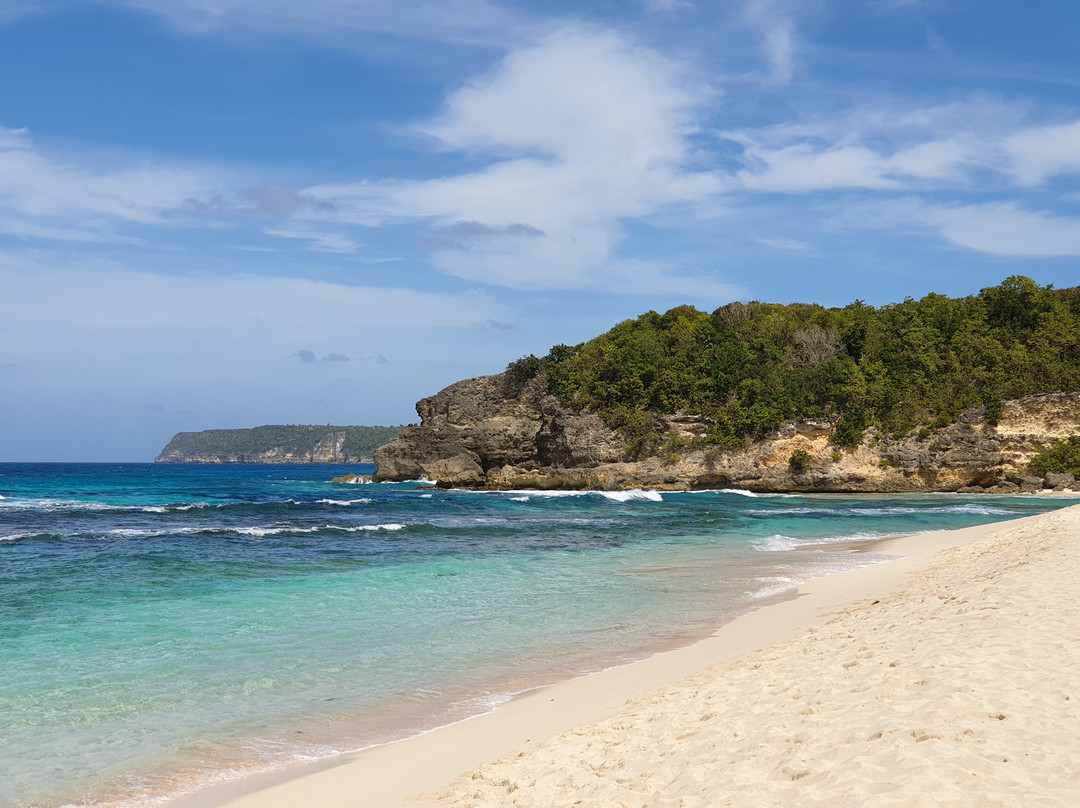 Anse Laborde景点图片