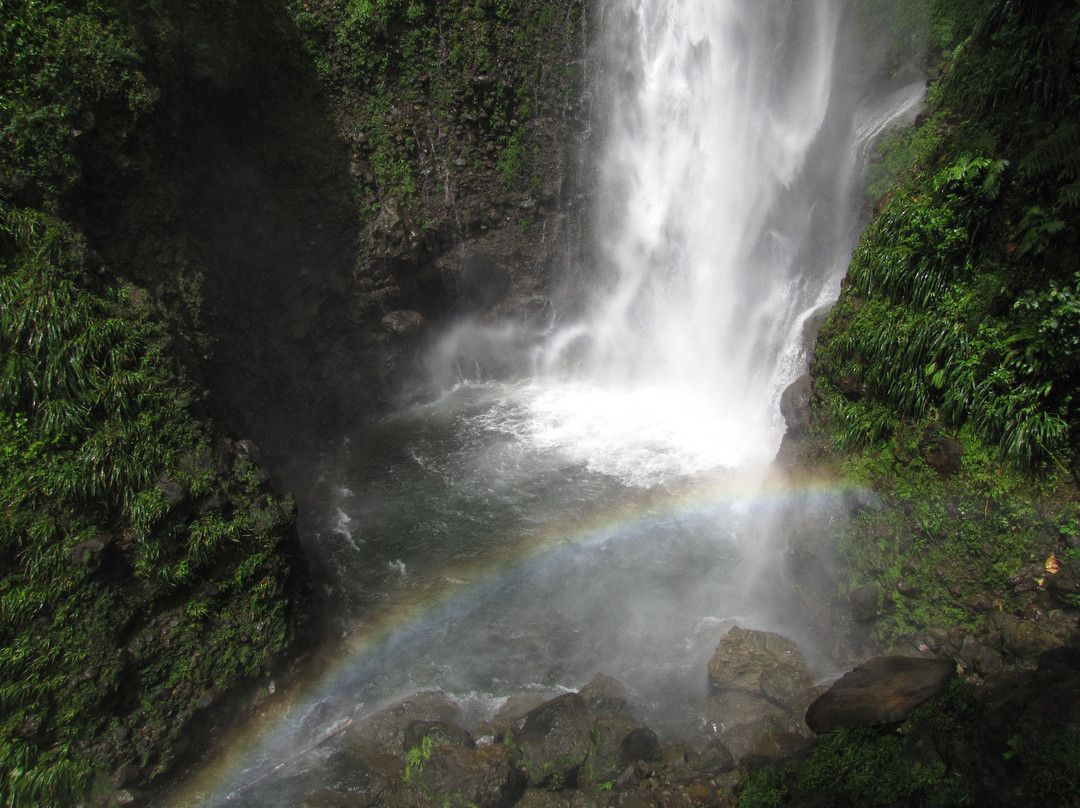 Bumpiing Tours-罗索必去景点