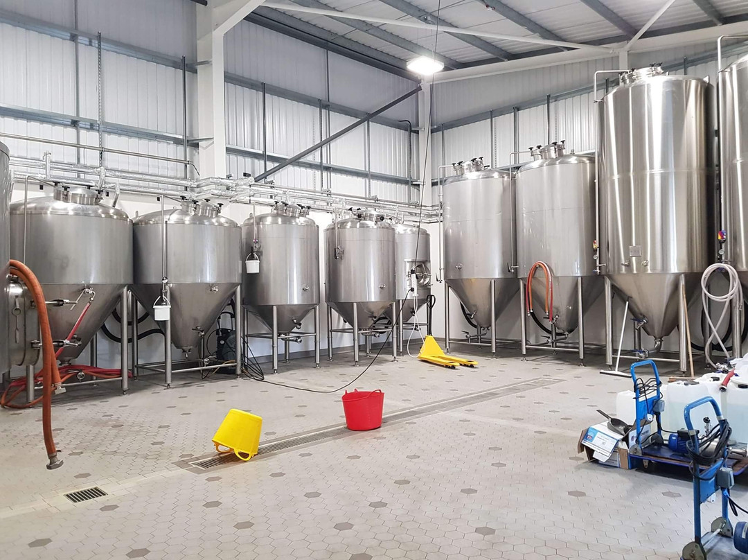 Vibrant Forest Brewery景点图片