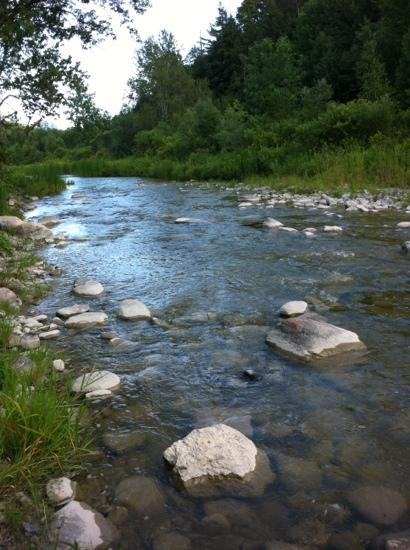 Rouge National Urban Park-多伦多必去景点