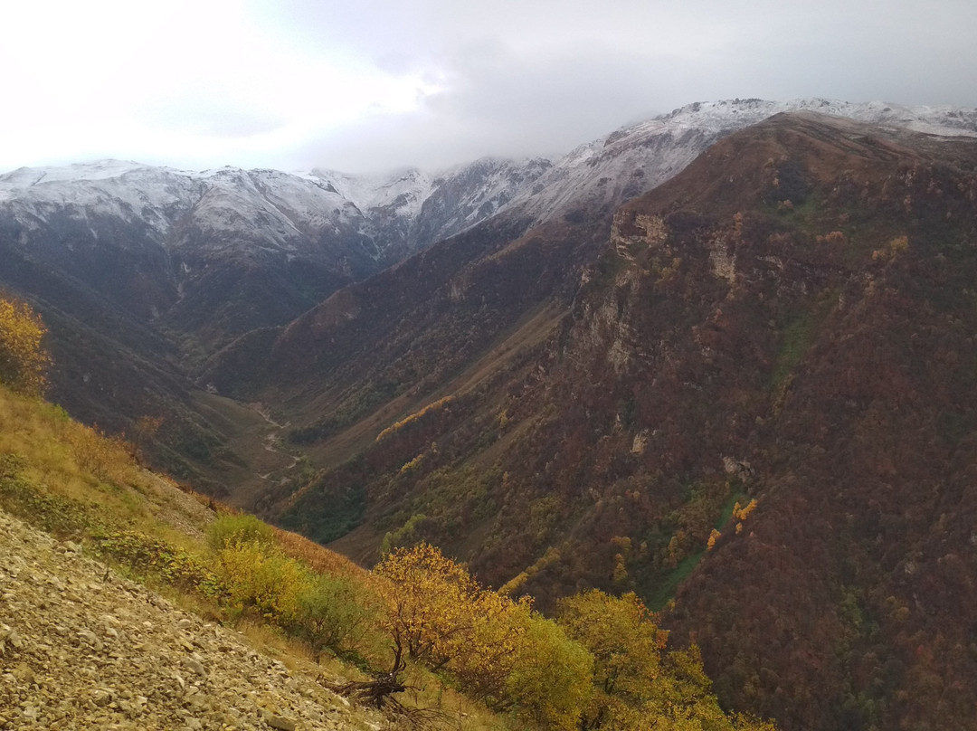 Lake Kazenoyam Zipline景点图片