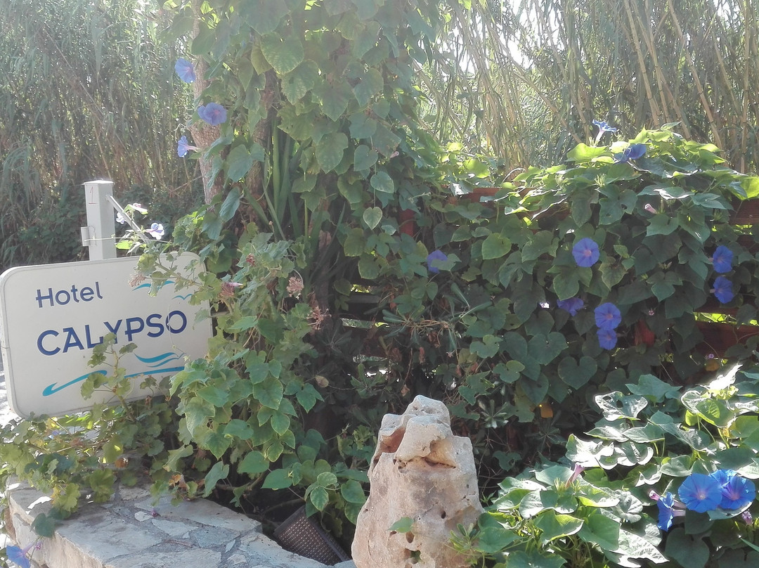 Hotel Calypso主图
