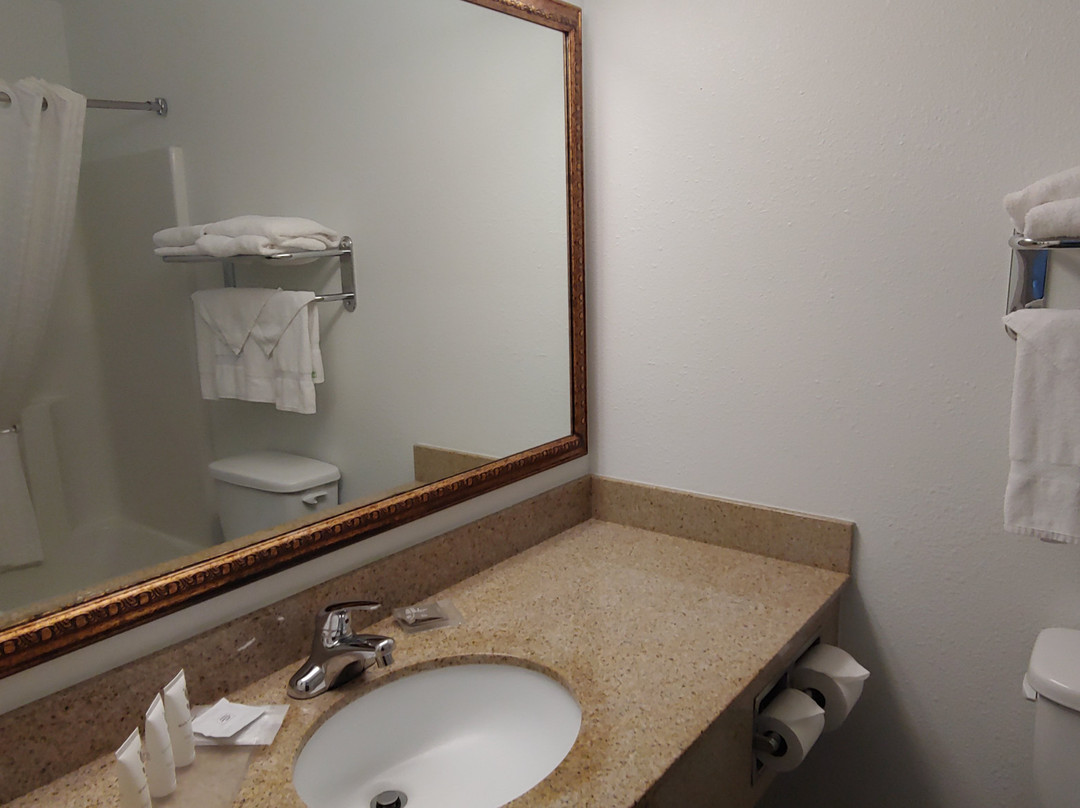 Diamond Jo Worth Casino Hotel主图