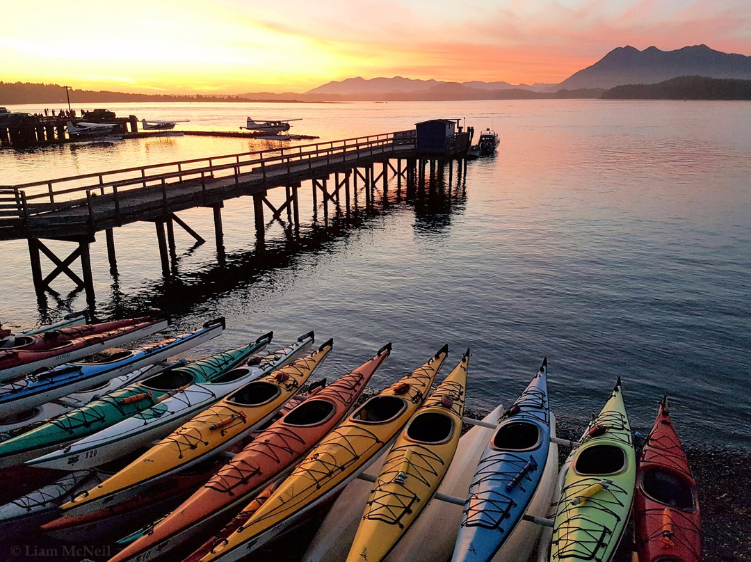 Tofino Sea Kayaking Day Tours景点图片