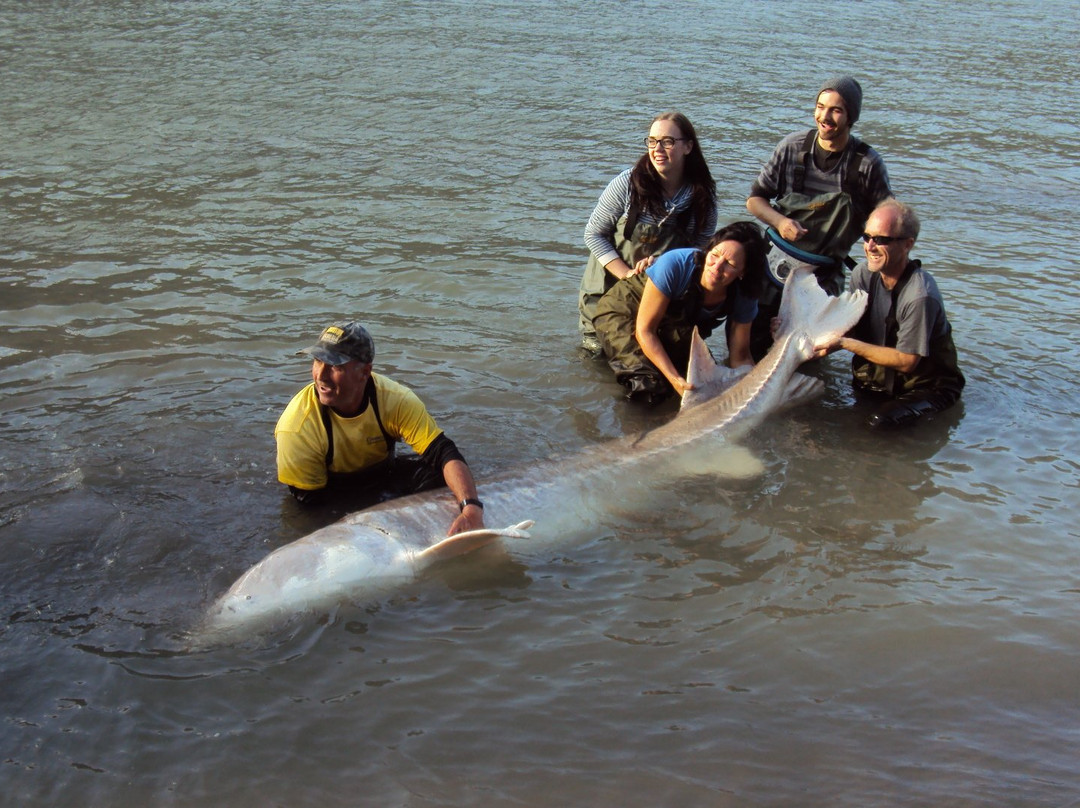 Cascade Fishing Adventures-奇利瓦克必去景点