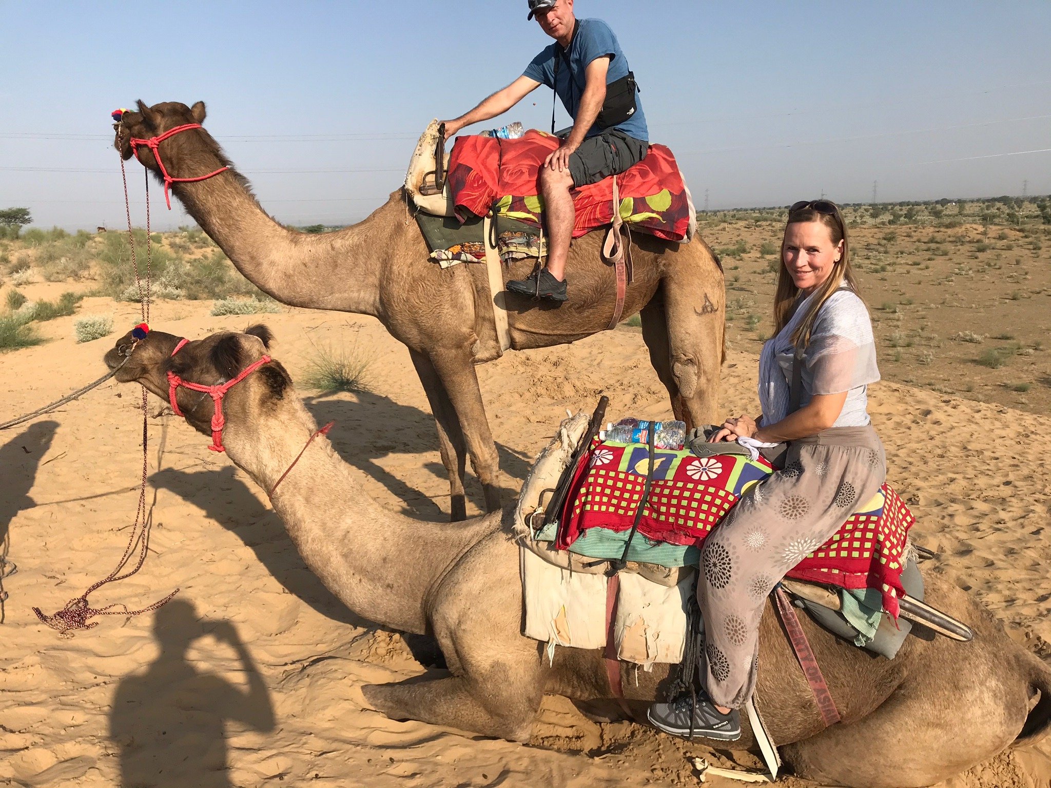 Wild Desert Resort-官方