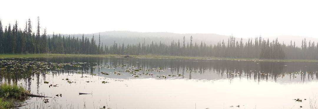 McGillivray Lake景点图片