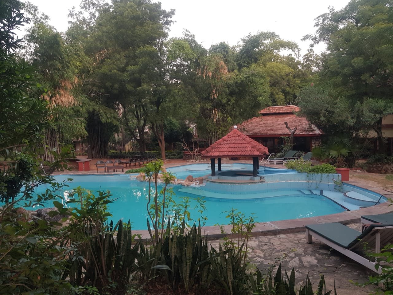 Tiger Moon Resort-泳池