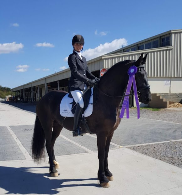 Virginia Horse Center-列克星敦必去景点