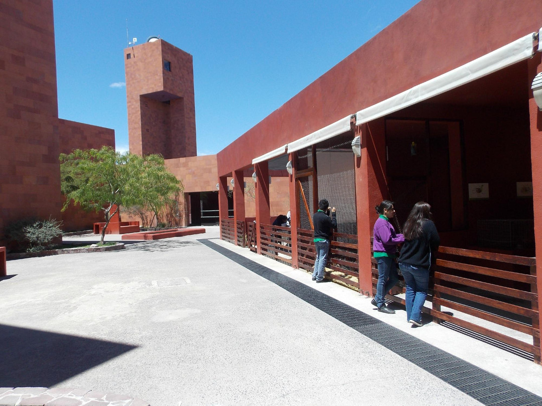 Museo Laberinto de las ciencias y las arte景点图片