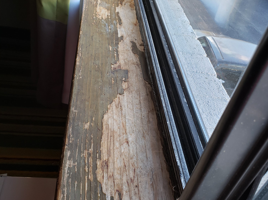 Super 8 By Wyndham Frederick主图