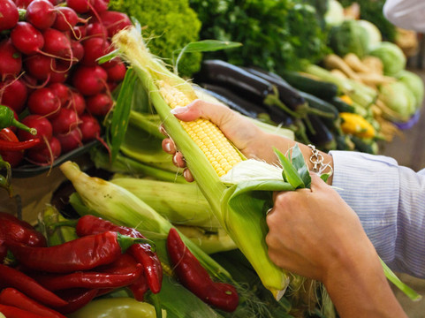 Gastro Adventure by FOODMATE