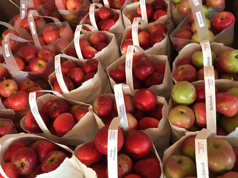 Bergman Orchards-Marblehead必去景点