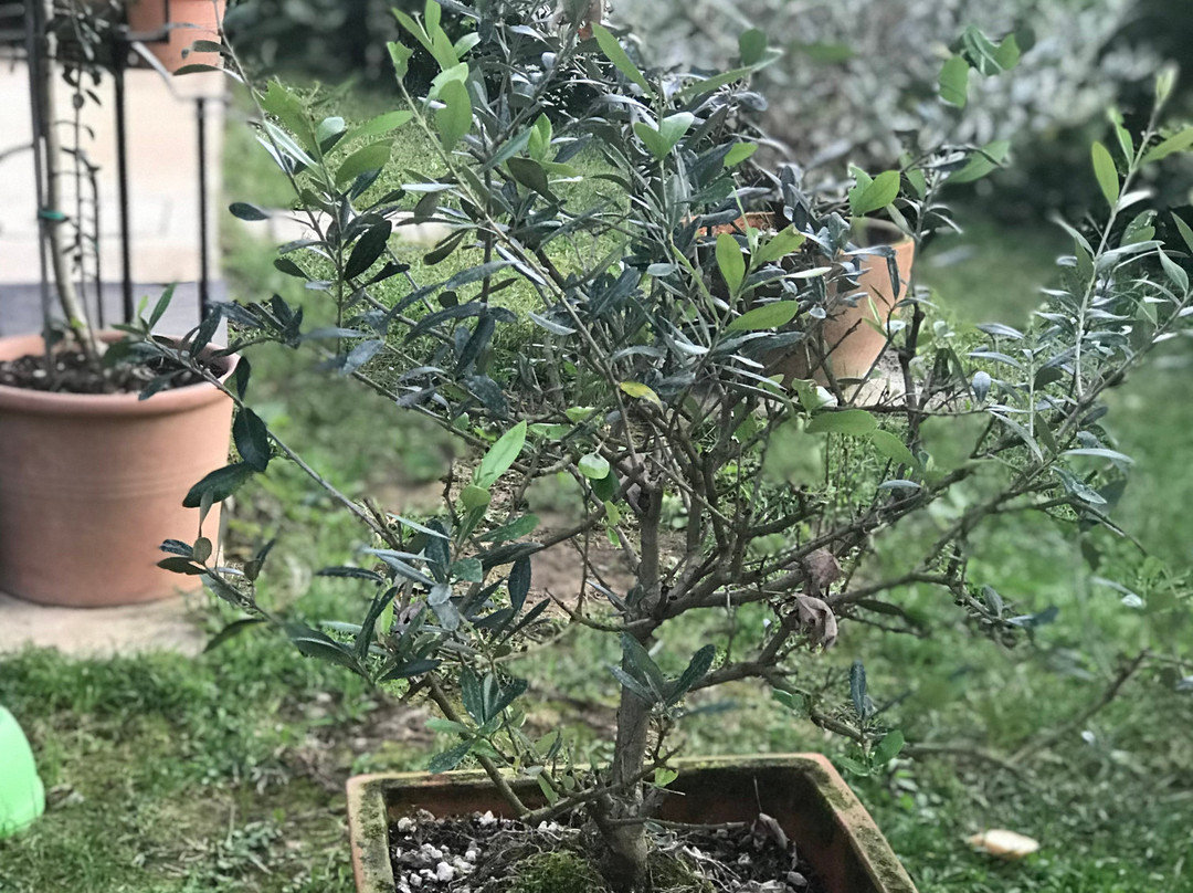 Agriturismo Tananei主图