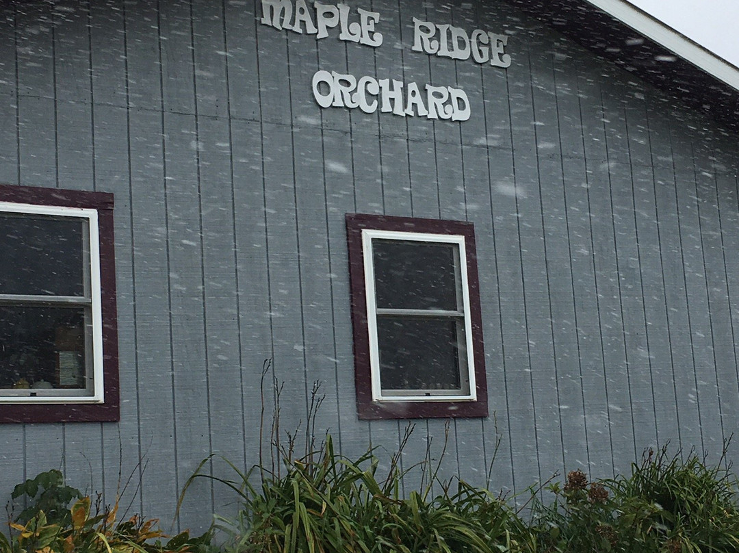 Maple Ridge Orchard景点图片