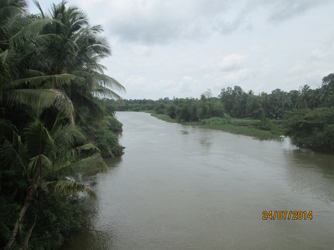 Achankovil River景点图片