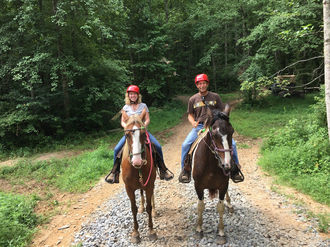 Blue Ridge Mountain Trail Rides At Hells Hollow景点图片