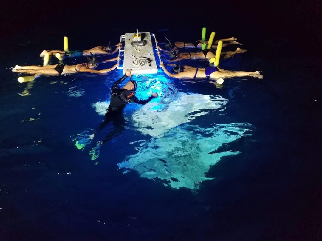 My Kona Adventures-基亚拉凯库亚必去景点