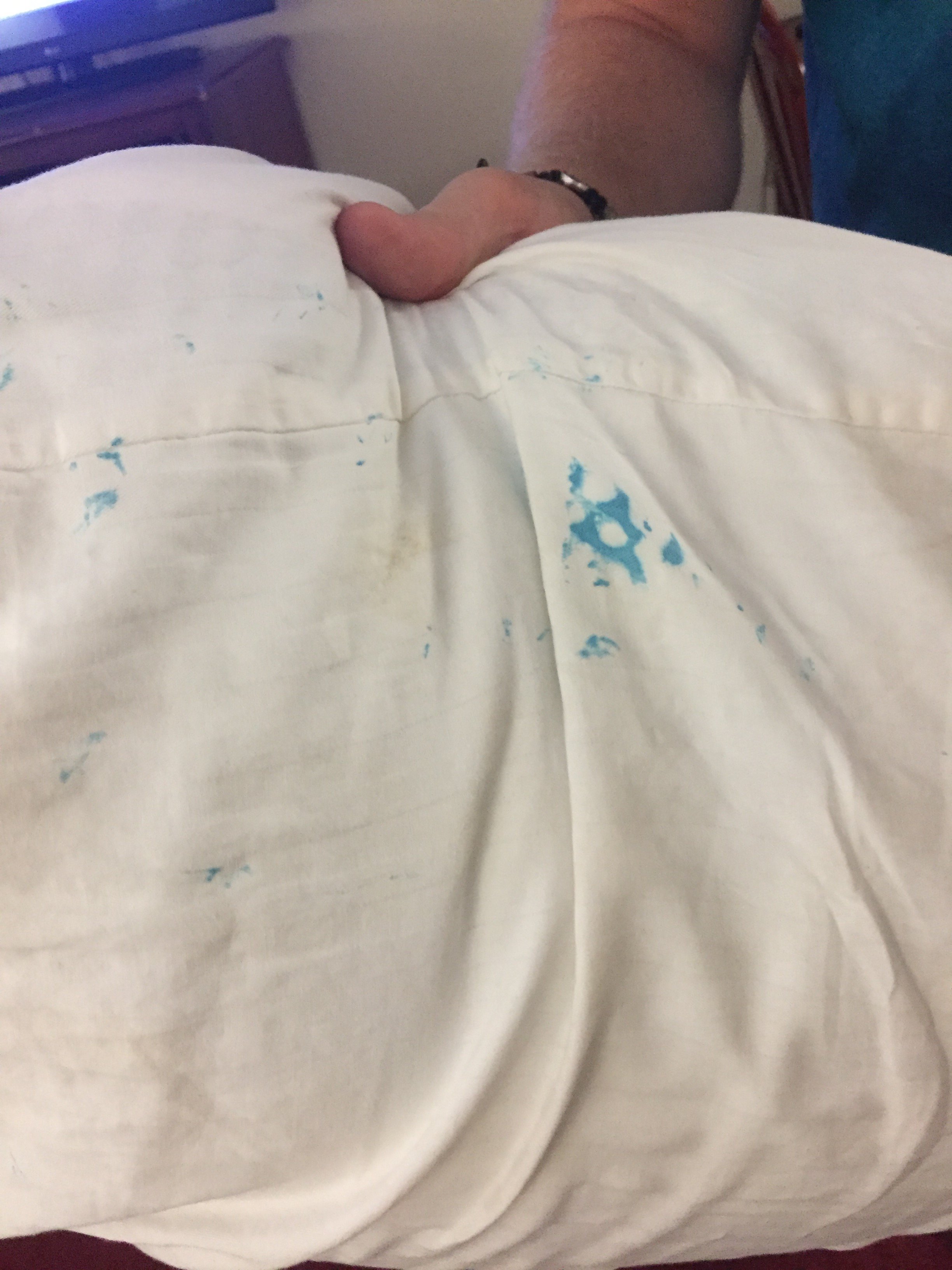 Homestead Apart-Hotel-官方