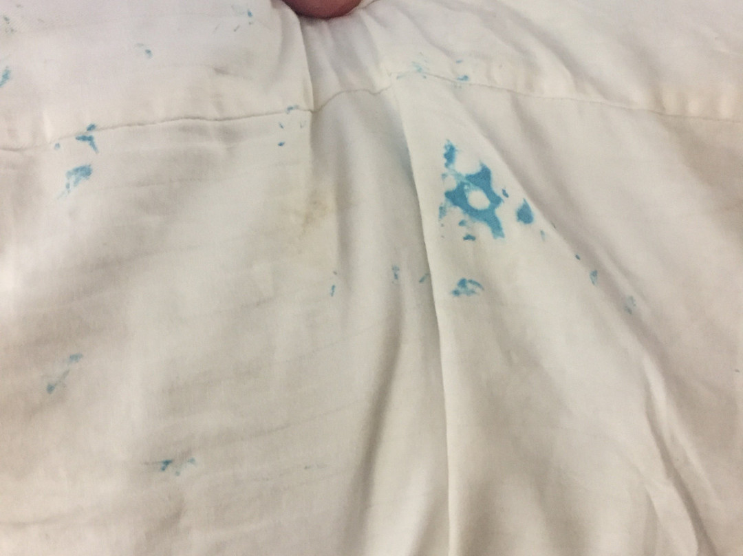 Homestead Apart-Hotel主图