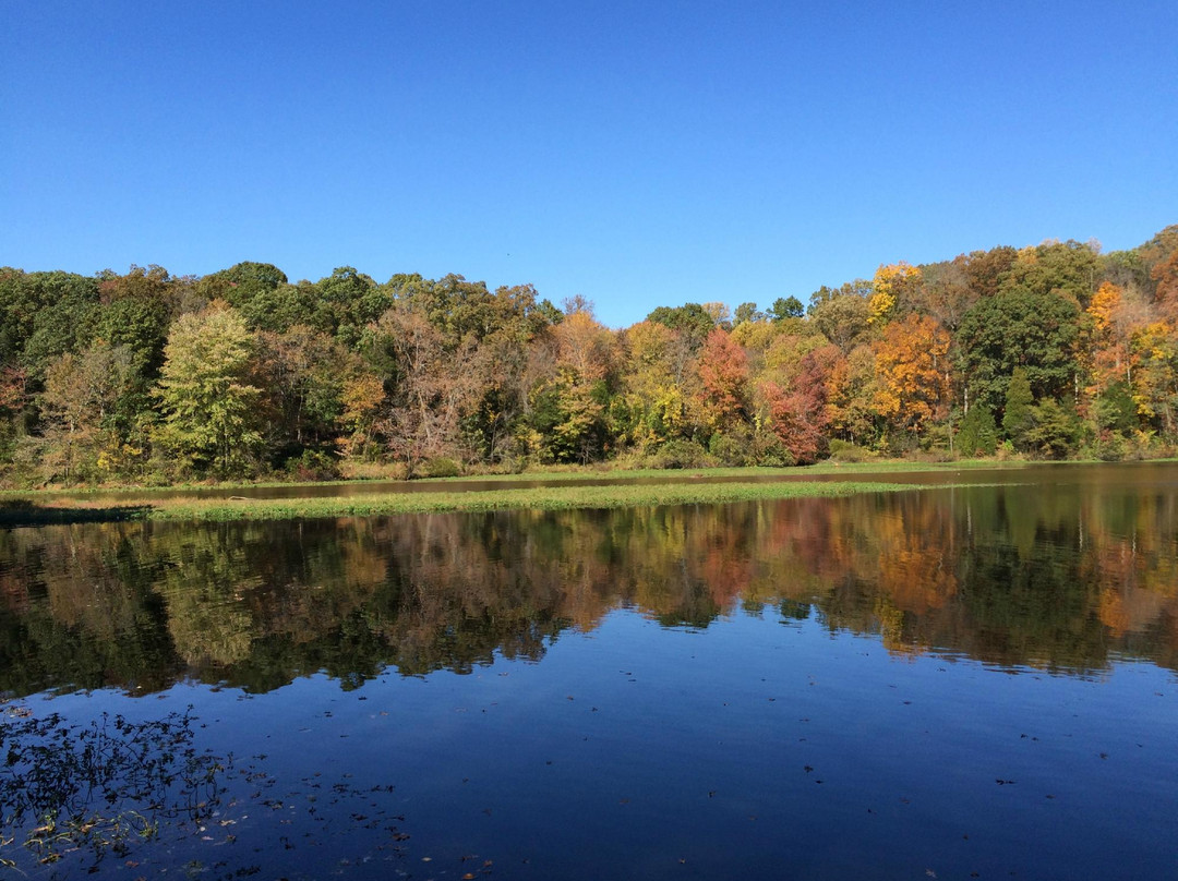 Lake Fairfax Park景点图片