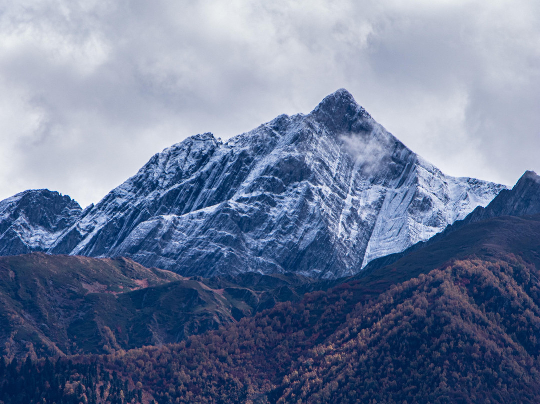 Greenwood-Stepantsminda必去景点