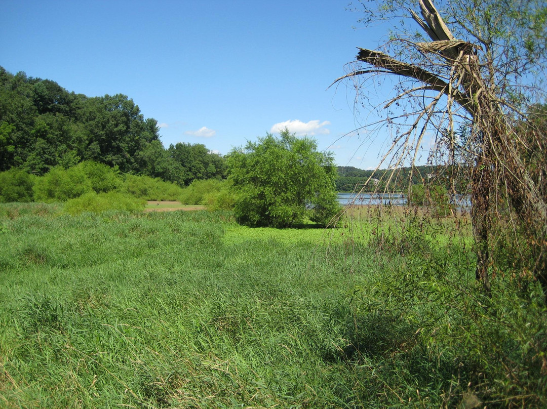 Codorus State Park景点图片