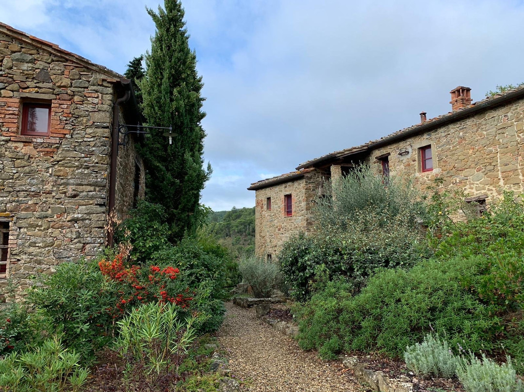 Antico Borgo Montefienali主图