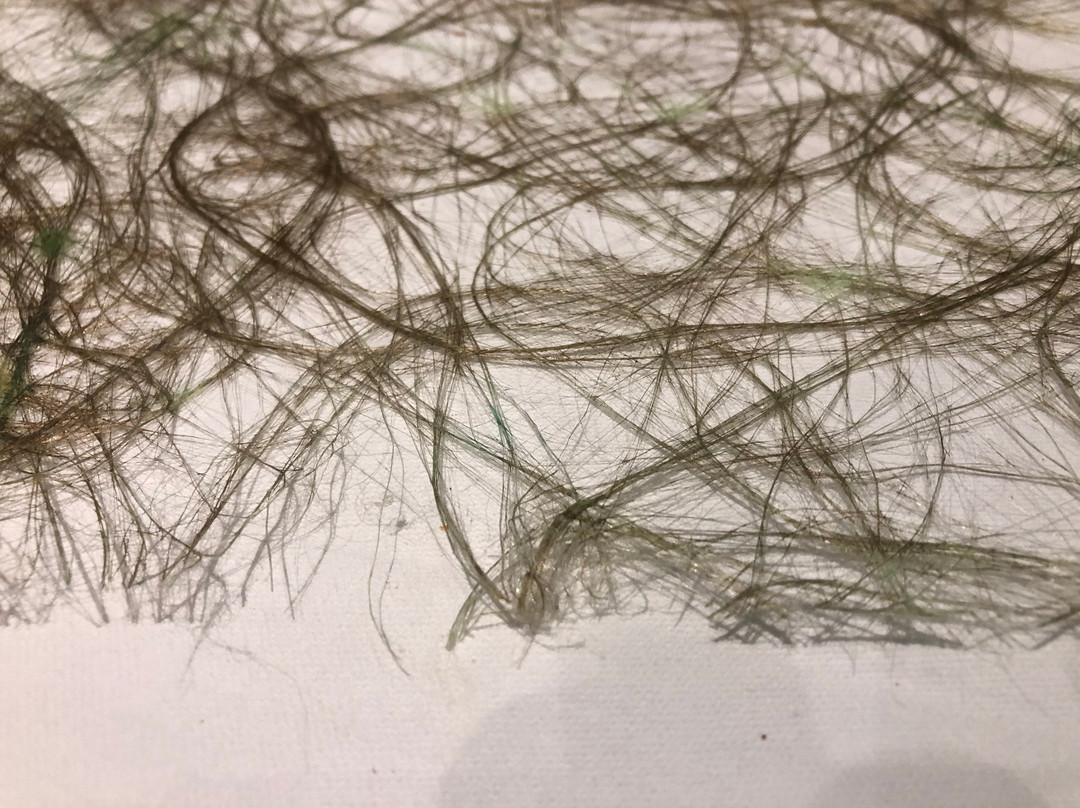 Hotel Lingemann主图