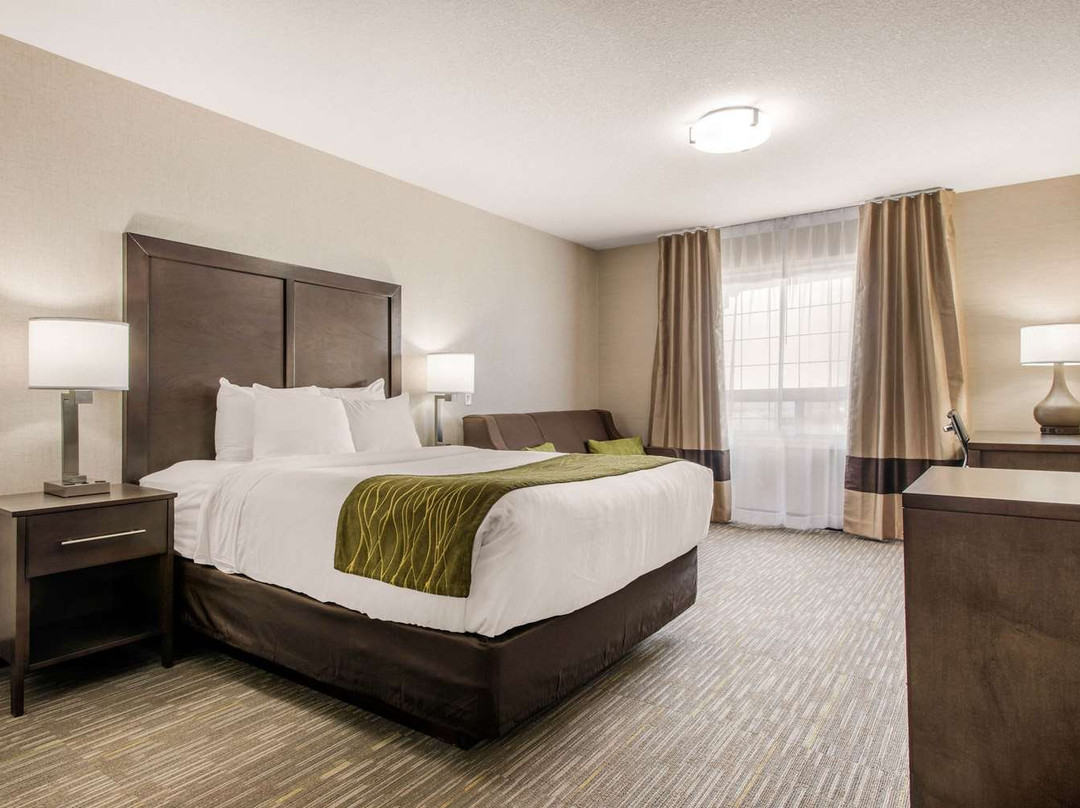 Comfort Inn & Suites Red Deer主图