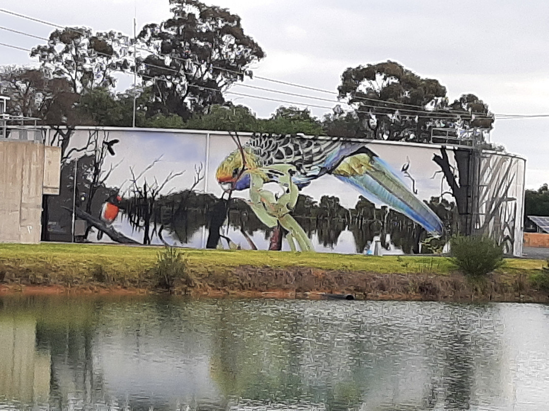 Kyabram Water Tank Art by Jimmy DVate