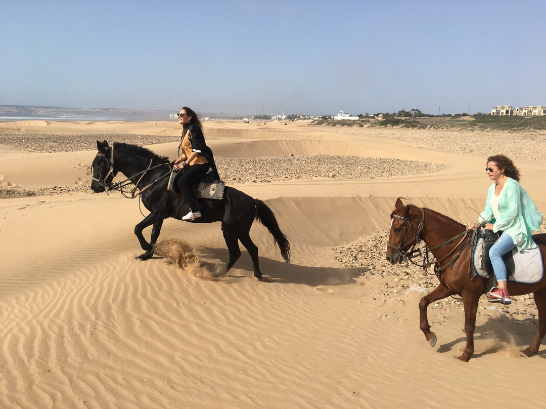 Maroc a Cheval-Sidi Kaouki必去景点