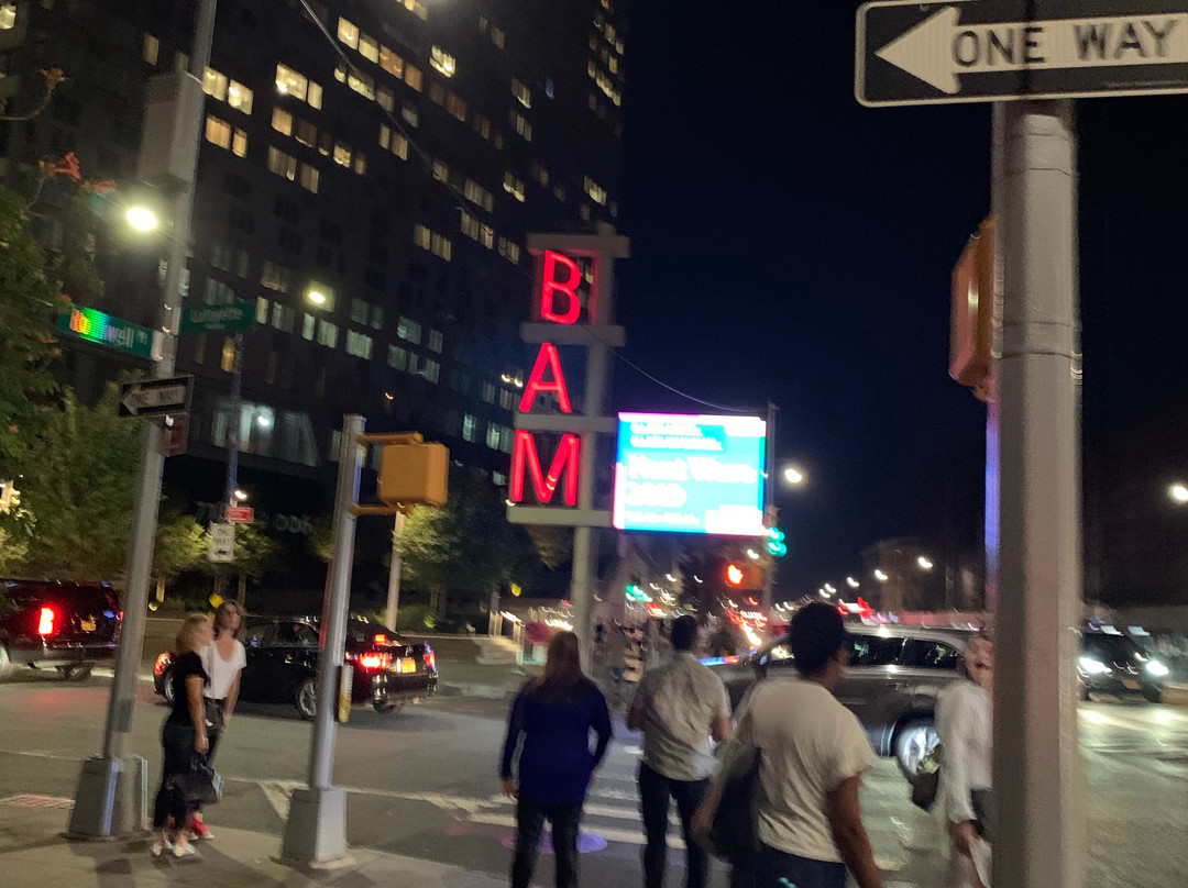 布鲁克林音乐学院-布鲁克林必去景点