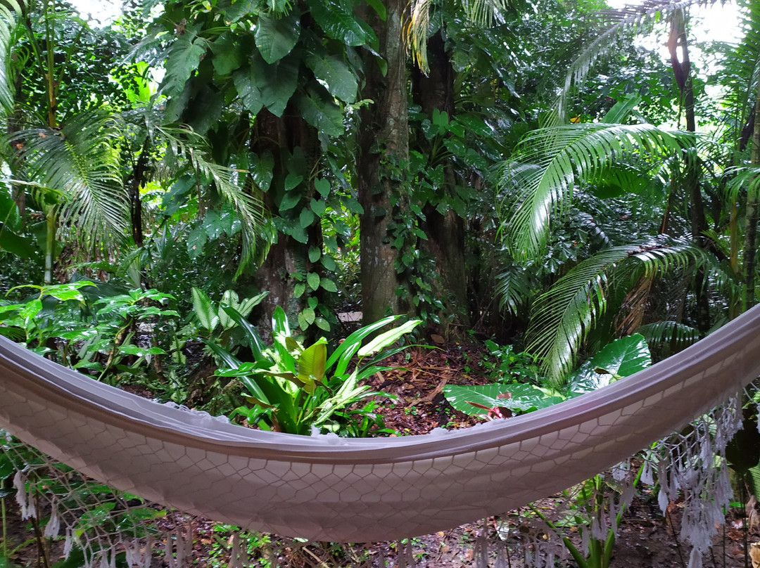 Hotel Shawandha Lodge主图