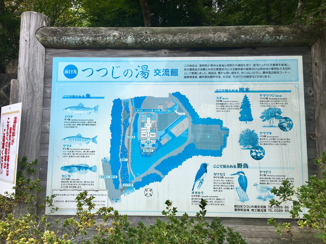 Maenikko Tsutsuji no Yu Koryukan-鹿沼市必去景点