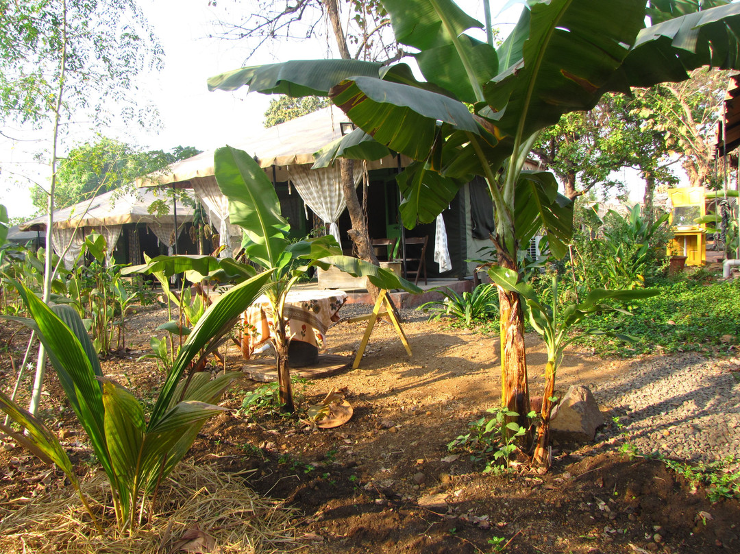 Bohemyan Blue Stay主图