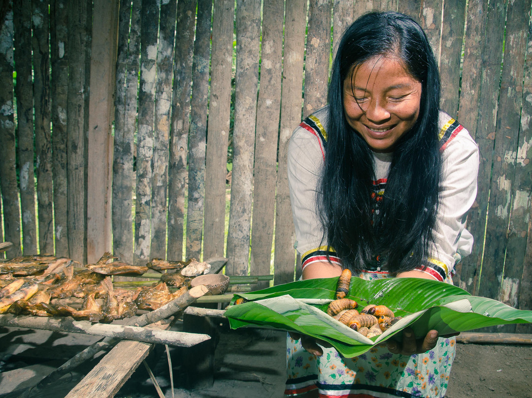 Ecolologe Turístico景点图片